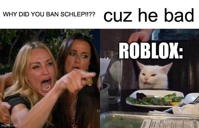 #freeschlep | WHY DID YOU BAN SCHLEP!!?? cuz he bad; ROBLOX: | image tagged in memes,woman yelling at cat,freeschlep,schlep | made w/ Imgflip meme maker