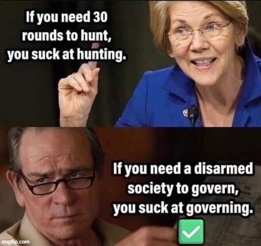 Liberals can't be this dumb....bububut they are!!!!! | ✅ | image tagged in liawatha,american indian,second amendment,shall not be infringed,liberalism | made w/ Imgflip meme maker