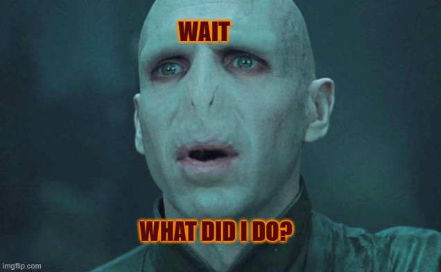 He Who Shall Not Be Named - What Did I Do? | WAIT; WHAT DID I DO? | image tagged in voldemort | made w/ Imgflip meme maker