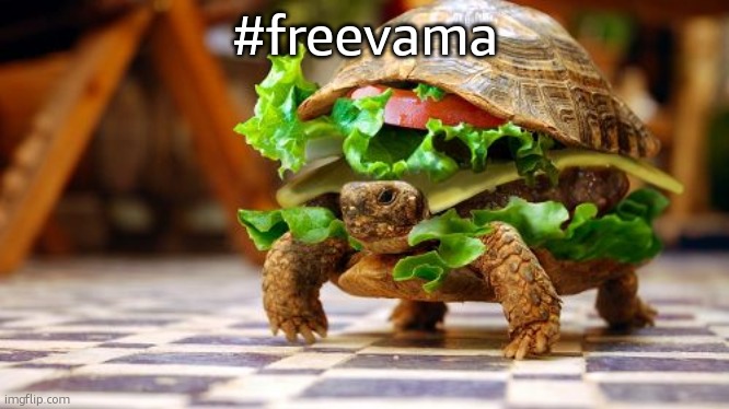 Tortoise sandwich | #freevama | image tagged in tortoise sandwich | made w/ Imgflip meme maker