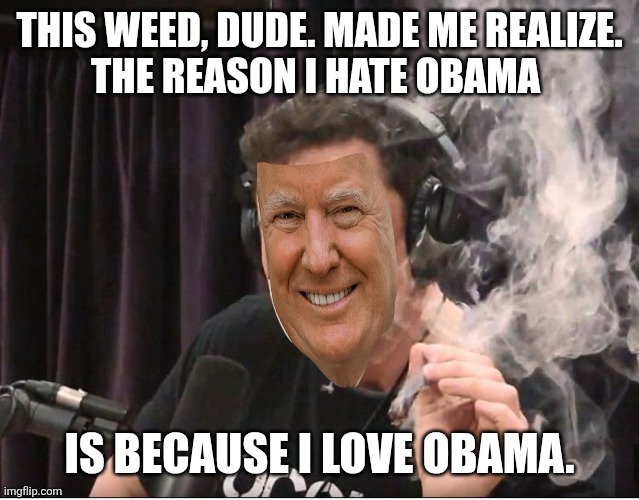 Elon Musk smoking a joint | THIS WEED, DUDE. MADE ME REALIZE.
THE REASON I HATE OBAMA IS BECAUSE I LOVE OBAMA. | image tagged in elon musk smoking a joint | made w/ Imgflip meme maker