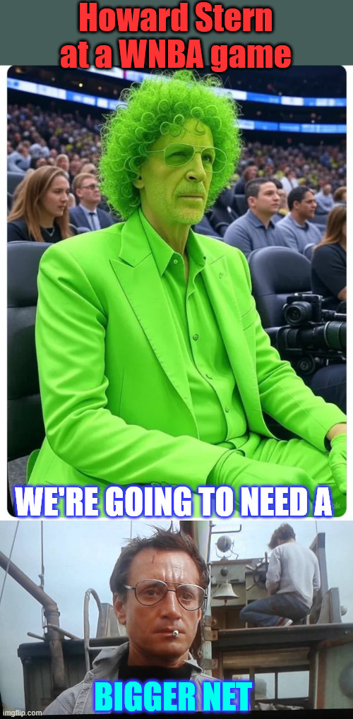 Wnba installs nets to prevent objects from being thrown onto the court | Howard Stern at a WNBA game; WE'RE GOING TO NEED A; BIGGER NET | image tagged in howard stern,attends wnba game | made w/ Imgflip meme maker