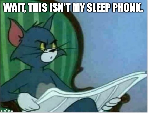 Interrupting Tom's Read | WAIT, THIS ISN'T MY SLEEP PHONK. | image tagged in interrupting tom's read | made w/ Imgflip meme maker