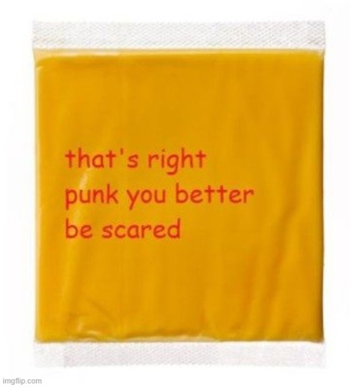 that's right punk you better be scared cheese | image tagged in that's right punk you better be scared cheese | made w/ Imgflip meme maker