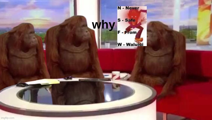 where monkey | why | image tagged in where monkey | made w/ Imgflip meme maker
