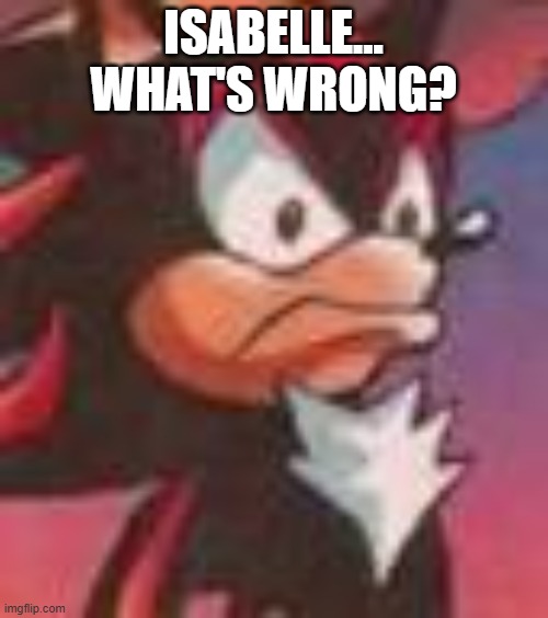 Shadow the Hedgehog | ISABELLE... WHAT'S WRONG? | image tagged in shadow the hedgehog | made w/ Imgflip meme maker