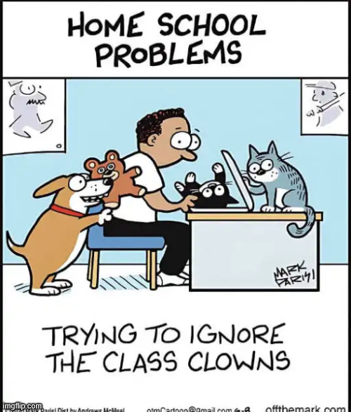 Home school problems | image tagged in repost,home school problems | made w/ Imgflip meme maker