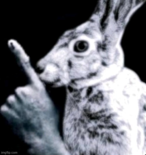 rabbit Blank Meme Template