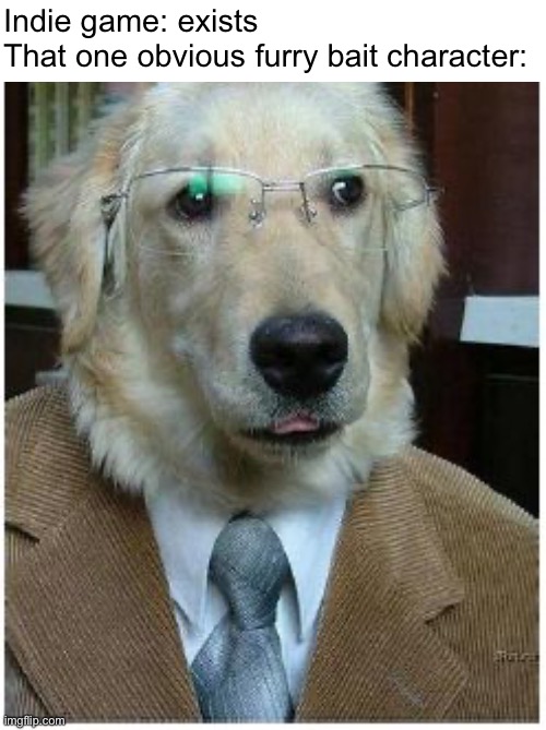 Dog person | Indie game: exists
That one obvious furry bait character: | image tagged in dog person | made w/ Imgflip meme maker