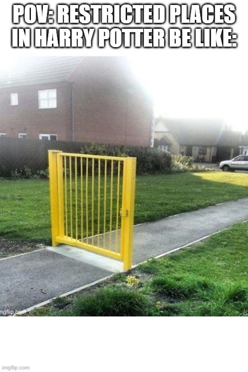 harry potter restricted places | POV: RESTRICTED PLACES IN HARRY POTTER BE LIKE: | image tagged in harry potter,gate,fyp,upvote begging | made w/ Imgflip meme maker