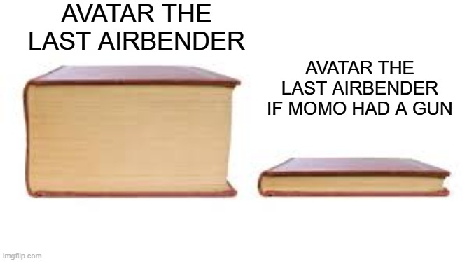 shoot 'em up bang bangs | AVATAR THE LAST AIRBENDER; AVATAR THE LAST AIRBENDER IF MOMO HAD A GUN | image tagged in big book small book | made w/ Imgflip meme maker