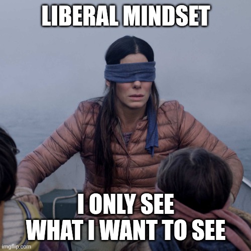 Bird Box Meme | LIBERAL MINDSET I ONLY SEE WHAT I WANT TO SEE | image tagged in memes,bird box | made w/ Imgflip meme maker