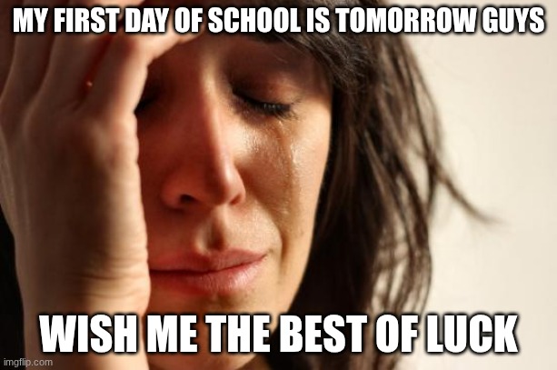 10th grade guys, can you believe it? | MY FIRST DAY OF SCHOOL IS TOMORROW GUYS; WISH ME THE BEST OF LUCK | image tagged in memes,first world problems | made w/ Imgflip meme maker