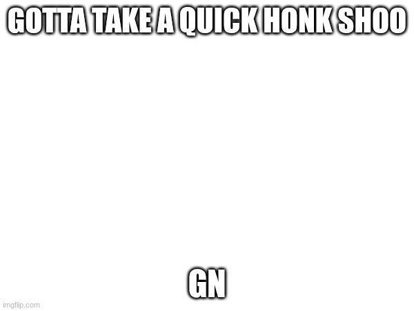 eepy | GOTTA TAKE A QUICK HONK SHOO; GN | image tagged in e | made w/ Imgflip meme maker