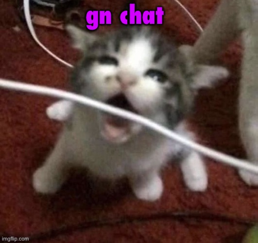 I LOVE EATING CABLES | gn chat | image tagged in i love eating cables | made w/ Imgflip meme maker