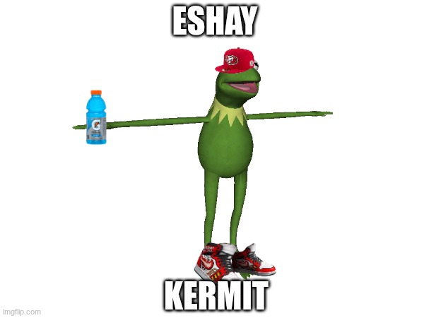 ESHAY KERMIT | ESHAY; KERMIT | image tagged in imgflip meme | made w/ Imgflip meme maker