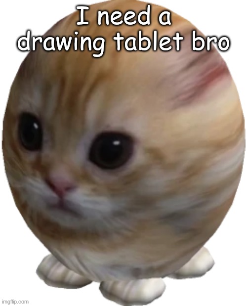 egg gatito | I need a drawing tablet bro | image tagged in egg gatito | made w/ Imgflip meme maker