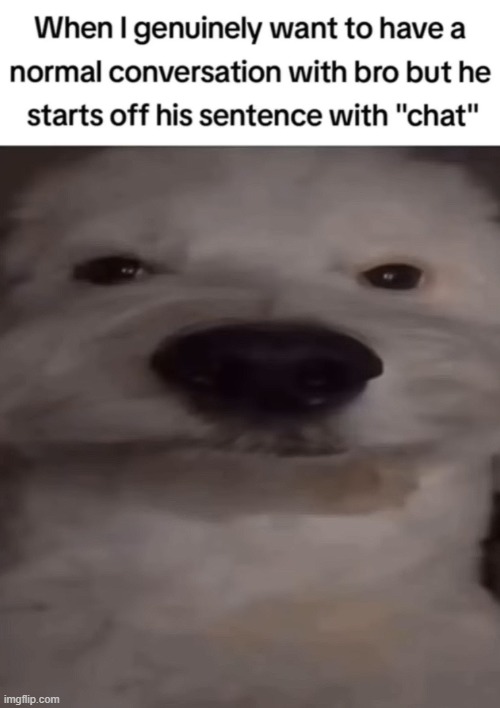 chat | image tagged in shitpost | made w/ Imgflip meme maker