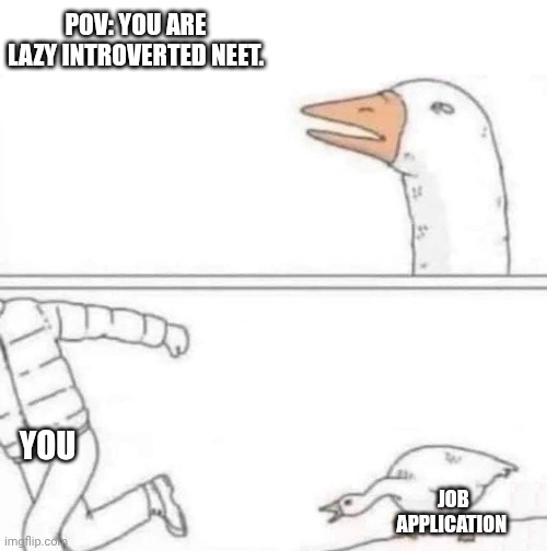 Goose Chase | POV: YOU ARE LAZY INTROVERTED NEET. YOU; JOB APPLICATION | image tagged in goose chase | made w/ Imgflip meme maker