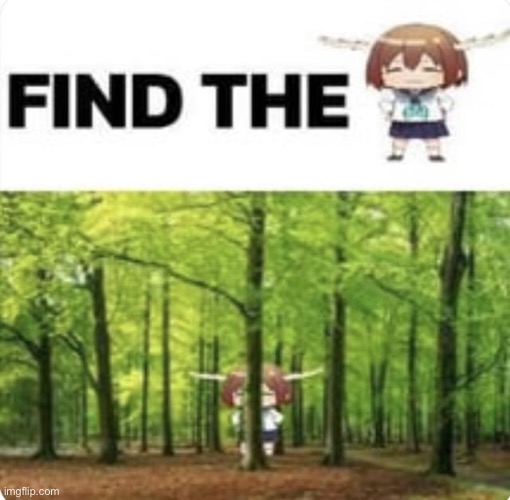 image tagged in nokotan,my deer friend nokotan | made w/ Imgflip meme maker