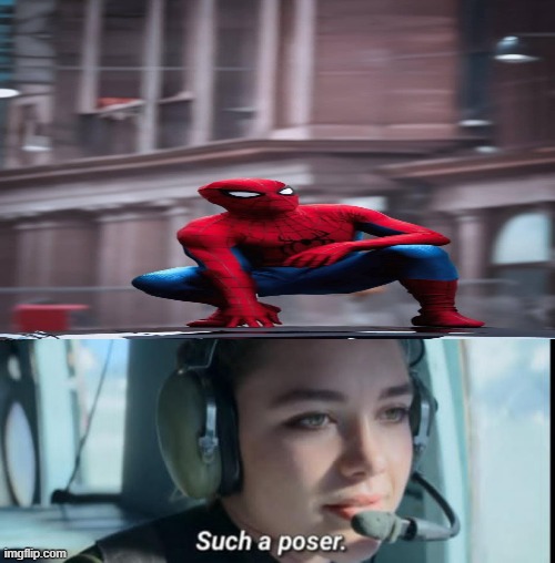 Yelena looking at Peter's pose and making fun of it. | image tagged in marvel cinematic universe,spiderman | made w/ Imgflip meme maker