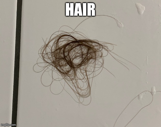 Hairball | HAIR | image tagged in hairball | made w/ Imgflip meme maker
