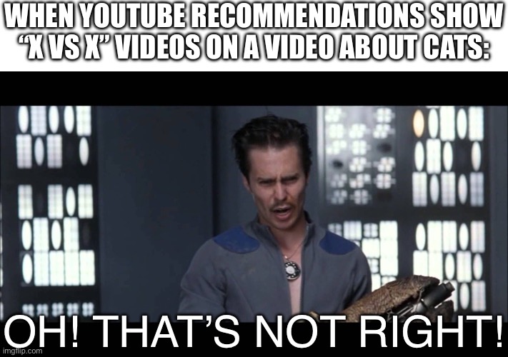 My recommendations are being very wonky right now (P.S. I never actually search for cat videos) | WHEN YOUTUBE RECOMMENDATIONS SHOW “X VS X” VIDEOS ON A VIDEO ABOUT CATS:; OH! THAT’S NOT RIGHT! | image tagged in oh that s not right,youtube,vs,why is this in my recommended,cat,you're doing it wrong | made w/ Imgflip meme maker