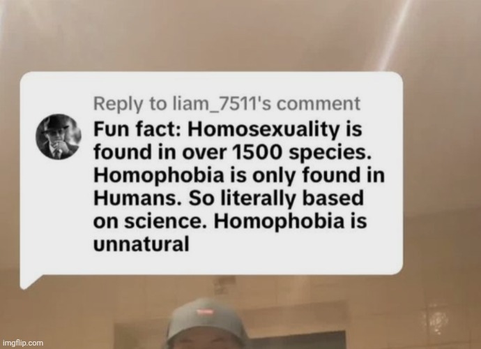 One bit of proof: Two male black swans will get together and will also adopt abandoned baby swans. | image tagged in lgbtq,homophobia sucks | made w/ Imgflip meme maker