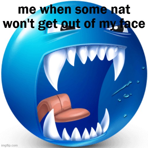 bro imma keep swinging at you till you go away | me when some nat won't get out of my face | image tagged in bugs,annoying | made w/ Imgflip meme maker