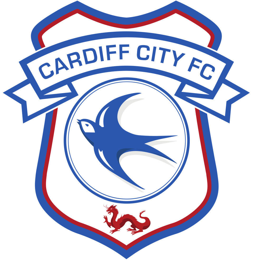 Cardiff City Blank Meme Template