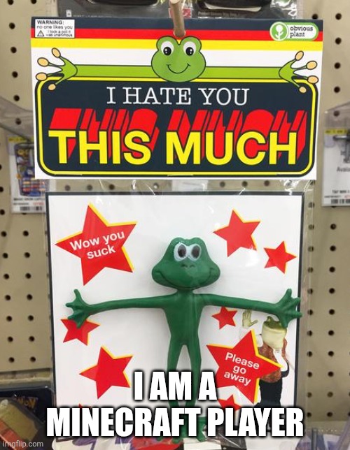 I hate you THIS much | I AM A MINECRAFT PLAYER | image tagged in i hate you this much | made w/ Imgflip meme maker