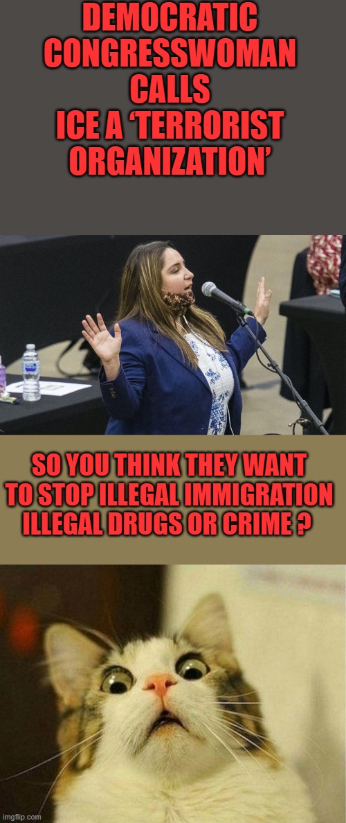 Every time they open their mouths they're promoting crime & open borders. They want US sovereignty. Done away with. | DEMOCRATIC CONGRESSWOMAN CALLS ICE A ‘TERRORIST ORGANIZATION’; SO YOU THINK THEY WANT TO STOP ILLEGAL IMMIGRATION ILLEGAL DRUGS OR CRIME ? | image tagged in memes,scared cat | made w/ Imgflip meme maker