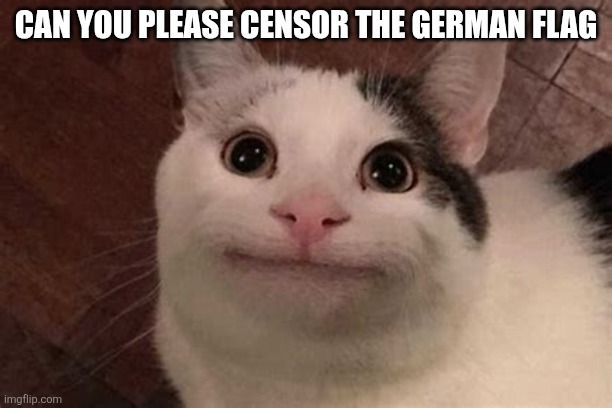 Polite Cat | CAN YOU PLEASE CENSOR THE GERMAN FLAG | image tagged in polite cat | made w/ Imgflip meme maker
