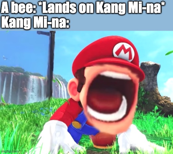 Kang Mi-na Mario-Screaming At Bee Meme | A bee: *Lands on Kang Mi-na*
Kang Mi-na: | image tagged in mario screaming | made w/ Imgflip meme maker