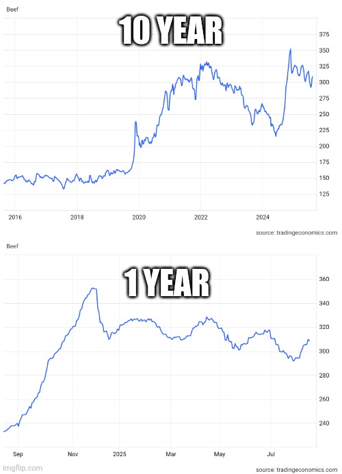 10 YEAR 1 YEAR | made w/ Imgflip meme maker