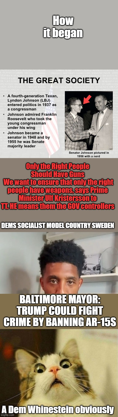 How it began; Only the Right People Should Have Guns
 We want to ensure that only the right people have weapons, says Prime Minister Ulf Kristersson to TT. HE means them the GOV controllers; DEMS SOCIALIST MODEL COUNTRY SWEDEN; BALTIMORE MAYOR: TRUMP COULD FIGHT CRIME BY BANNING AR-15S; A Dem Whinestein obviously | image tagged in memes,scared cat | made w/ Imgflip meme maker