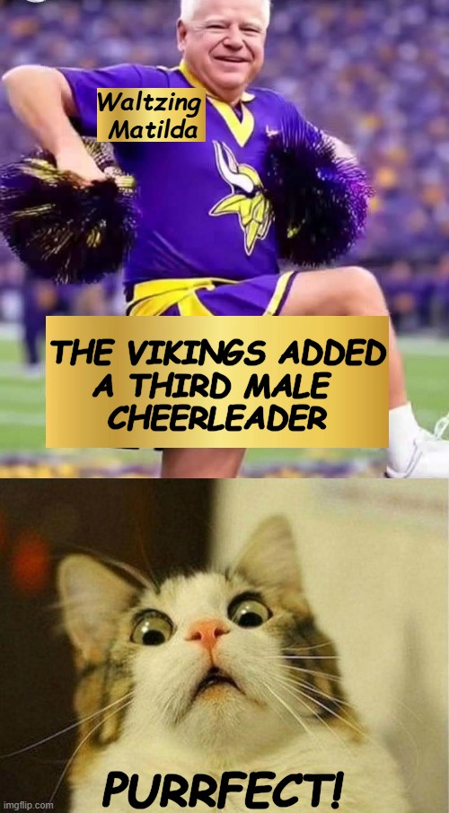Twerking Tim | Waltzing 
Matilda; THE VIKINGS ADDED
A THIRD MALE 
CHEERLEADER; PURRFECT! | image tagged in tim walz,minnesota vikings,cheerleader,confused confusing confusion,male feminist,dancing queen | made w/ Imgflip meme maker