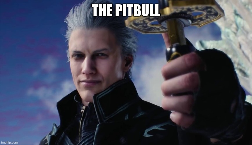 Vergil | THE PITBULL | image tagged in vergil | made w/ Imgflip meme maker