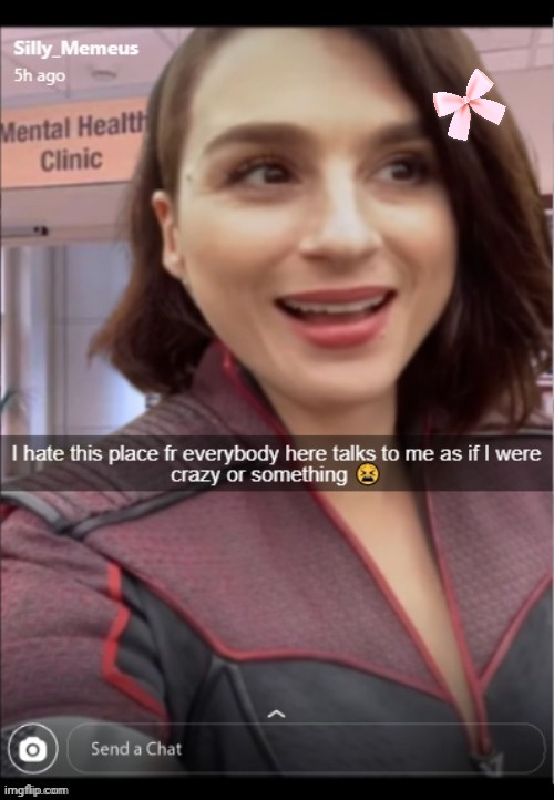 They are all so weird and acusing me of stuff, chat. | image tagged in memez,the pych ward | made w/ Imgflip meme maker