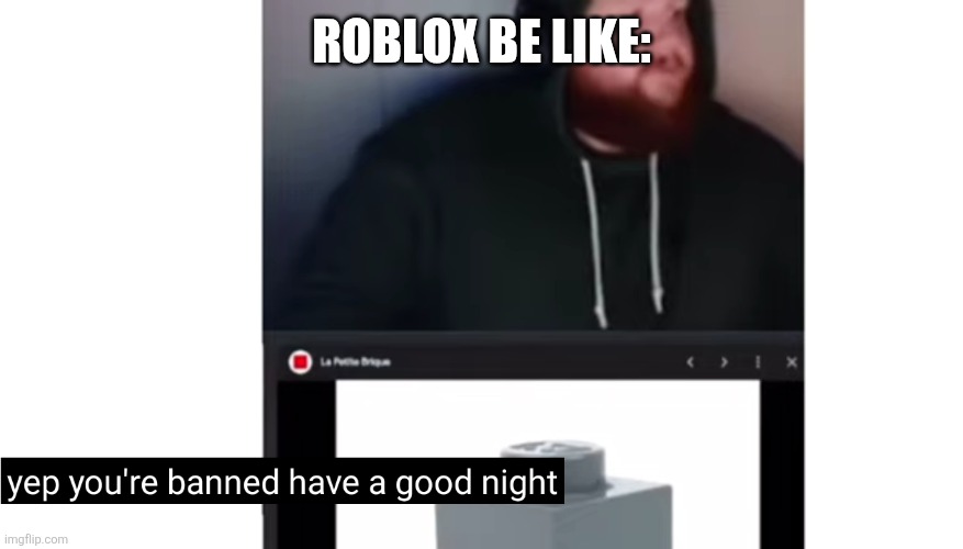 Yep you're banned. Have a good night. | ROBLOX BE LIKE: | image tagged in yep you're banned have a good night | made w/ Imgflip meme maker