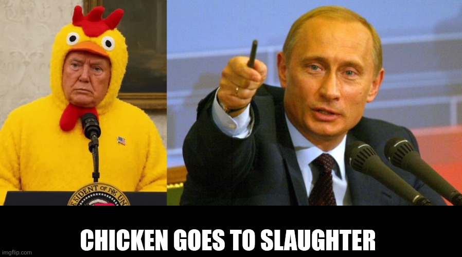 Chicken goes to slaughter | CHICKEN GOES TO SLAUGHTER | image tagged in taco trump,memes,good guy putin | made w/ Imgflip meme maker