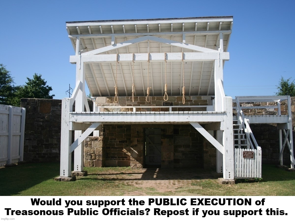 Would you support the PUBLIC EXECUTION of Treasonous Public Officials? Repost if you support this. | image tagged in capital punishment,treason,sedition,traitors,gallows humor,hanging out | made w/ Imgflip meme maker