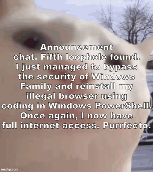 FINALLY SOME CHARACTER AI | Announcement chat. Fifth loophole found. I just managed to bypass the security of Windows Family and reinstall my illegal browser using coding in Windows PowerShell. Once again, I now have full internet access. Purrfecto. | image tagged in i showed you my,sans of topic | made w/ Imgflip meme maker