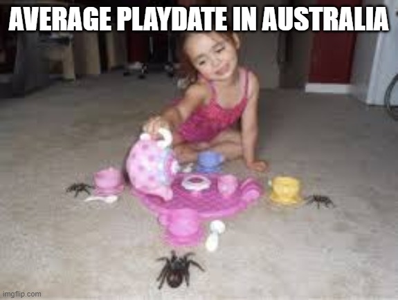 Spider tea party | AVERAGE PLAYDATE IN AUSTRALIA | image tagged in funny,memes | made w/ Imgflip meme maker