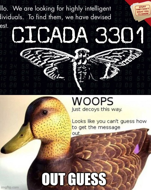 cicada duck | OUT GUESS | image tagged in cicada duck | made w/ Imgflip meme maker