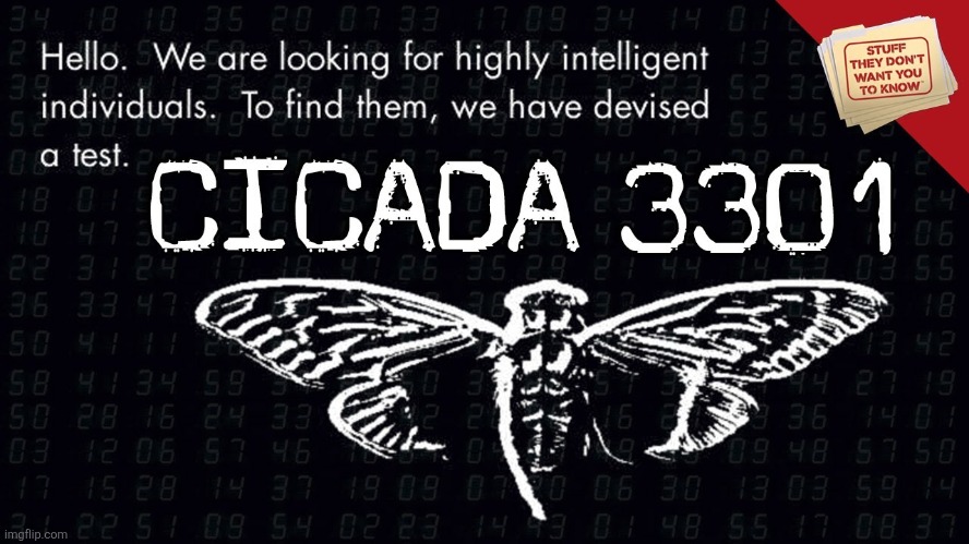 The cicadas got control lads | image tagged in cicada | made w/ Imgflip meme maker