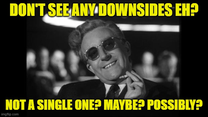 dr strangelove | DON'T SEE ANY DOWNSIDES EH? NOT A SINGLE ONE? MAYBE? POSSIBLY? | image tagged in dr strangelove | made w/ Imgflip meme maker