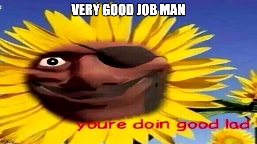 youre doin good lad | VERY GOOD JOB MAN | image tagged in youre doin good lad | made w/ Imgflip meme maker