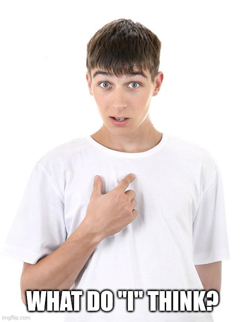 guy pointing at himself | WHAT DO "I" THINK? | image tagged in guy pointing at himself | made w/ Imgflip meme maker