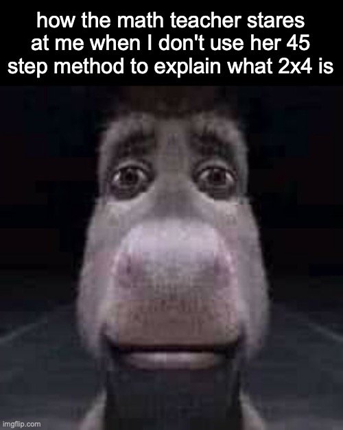 Donkey staring | how the math teacher stares at me when I don't use her 45 step method to explain what 2x4 is | image tagged in donkey staring,msmg | made w/ Imgflip meme maker